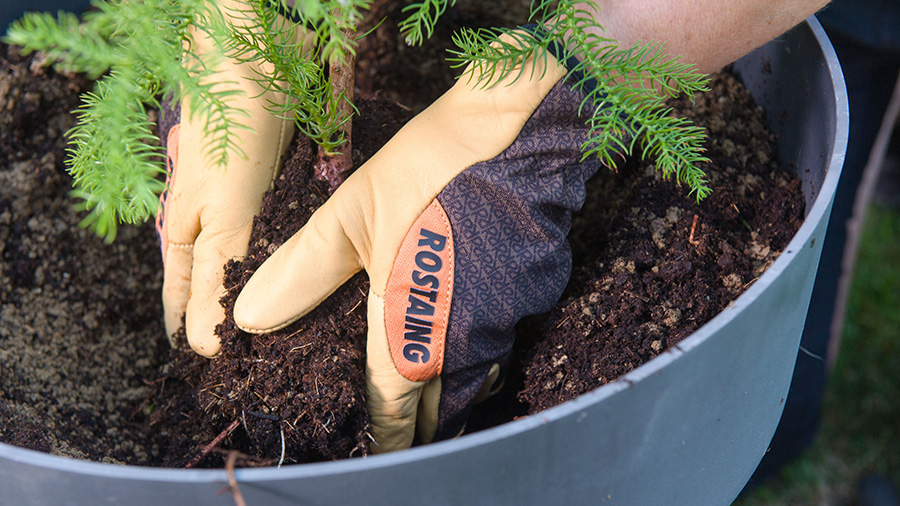 Gants de protection Rostaing Sequoia Gants de protection Rostaing Sequoia